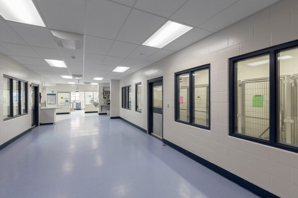 54314,Windows and doors in empty animal shelter